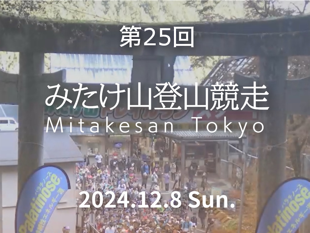 f:id:rainywood-609:20241204200539j:image