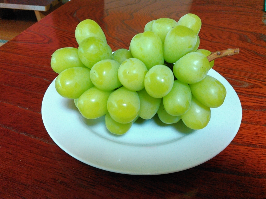 食べたぶどうを記録していました。 - Low cost, Low price