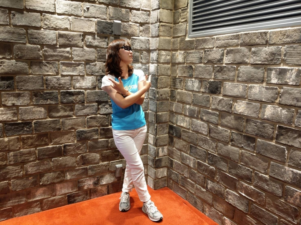 f:id:raira21:20180712213939j:plain