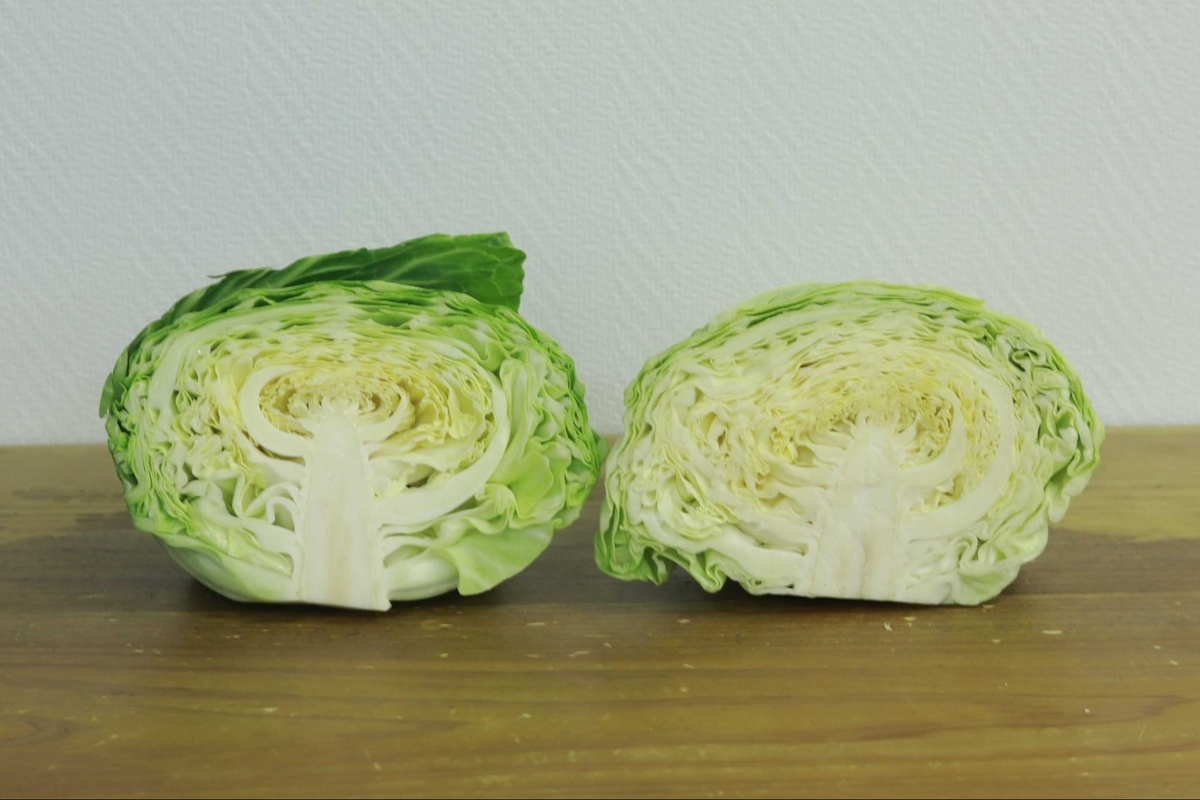 自然食 薬膳