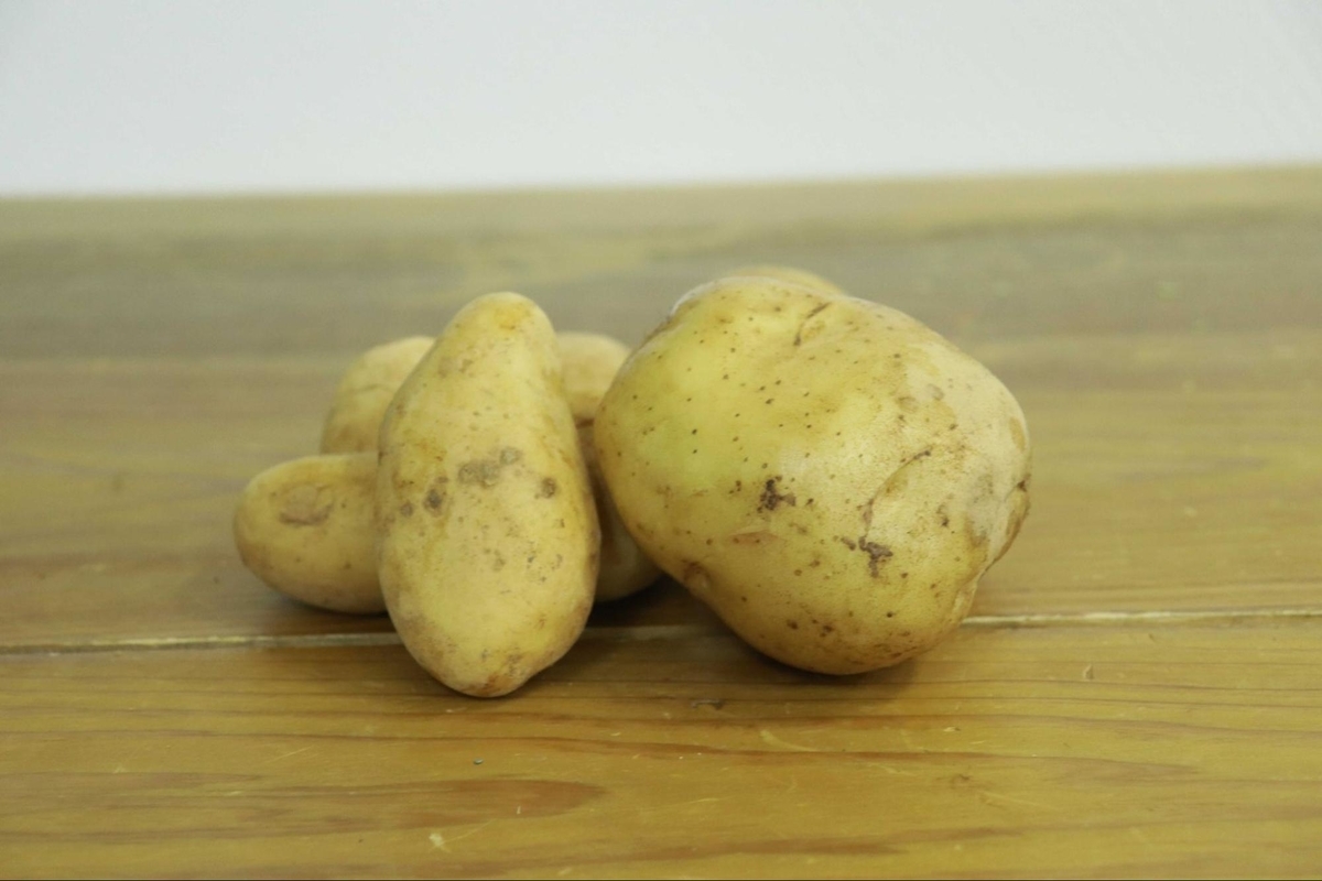 保存版 野菜のプロに定番野菜の選び方や保存方法について聞いてきた メシ通 ホットペッパーグルメ