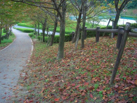 f:id:rairakku6:20081016172901j:image f:id:rairakku6:20081016172901j:image