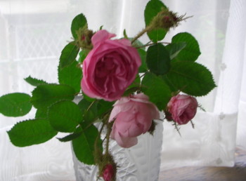 f:id:rairakku6:20100531091409j:image f:id:rairakku6:20100531091409j:image