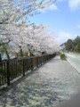 20090428123100