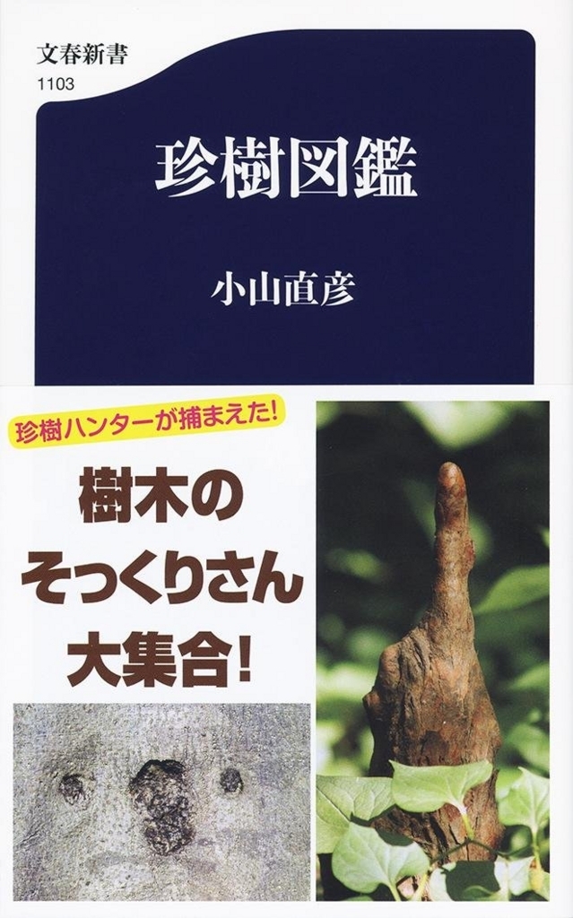 f:id:raito-se:20180701112257j:plain f:id:raito-se:20180701112257j:plain