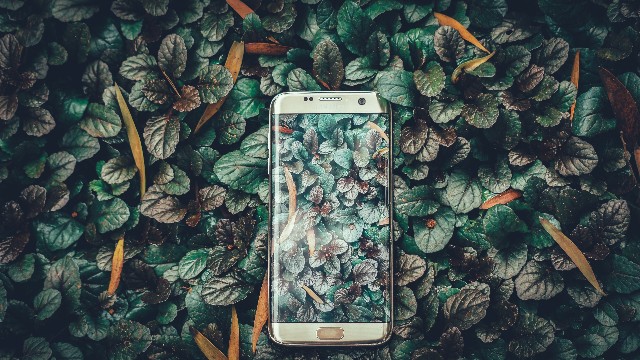 f:id:raitochyan:20190907203238j:plain