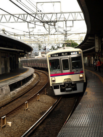 p8307491