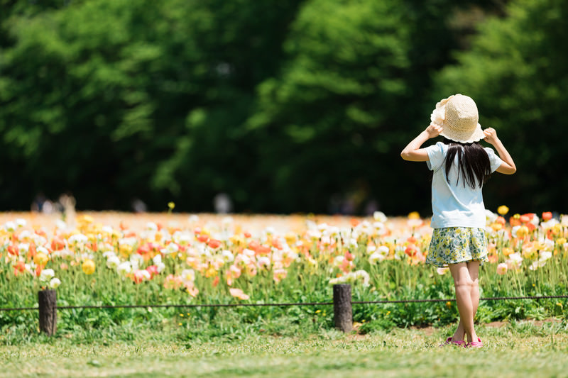 草原の子ども