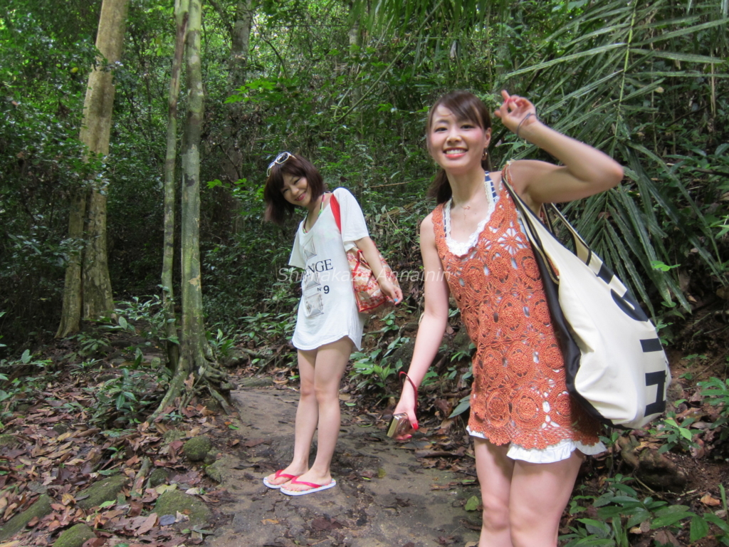 f:id:rakbaimai2:20170427081120j:plain