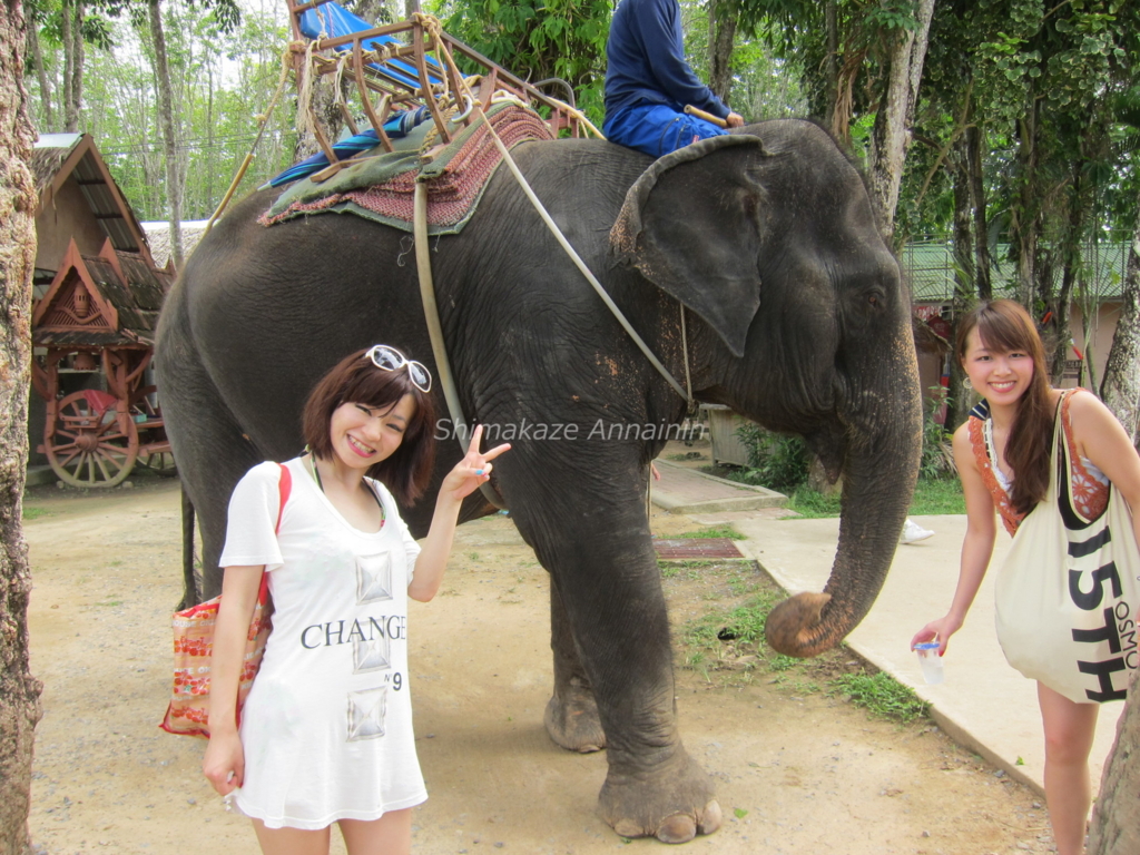 f:id:rakbaimai2:20170427081211j:plain