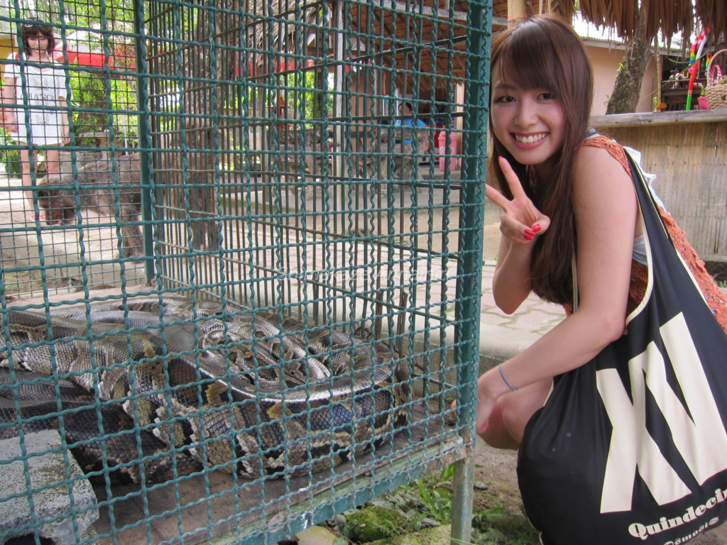 f:id:rakbaimai2:20170427081250j:plain