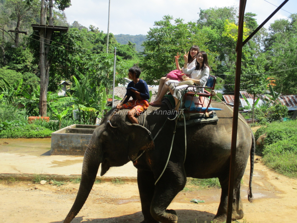 f:id:rakbaimai2:20170515140159j:plain