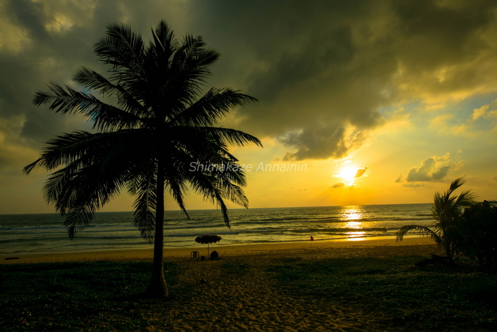 f:id:rakbaimai2:20170729152418j:plain