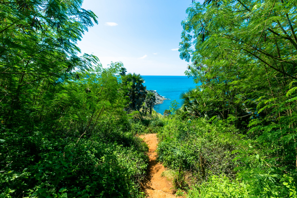 f:id:rakbaimai2:20180103165238j:plain