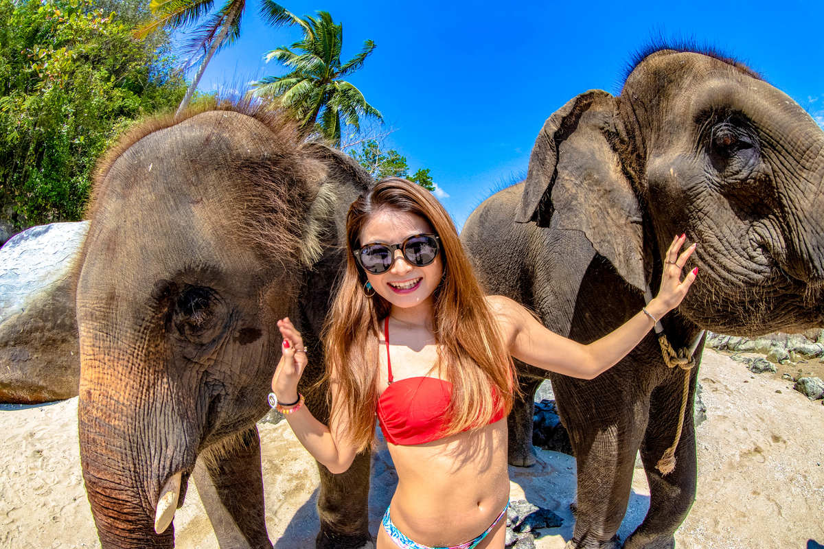 f:id:rakbaimai2:20190426140853j:plain f:id:rakbaimai2:20190426140853j:plain