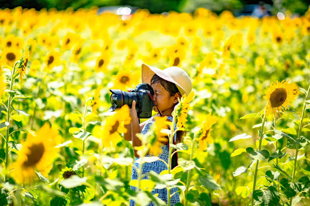 f:id:rakbaimai2:20190731144630j:plain