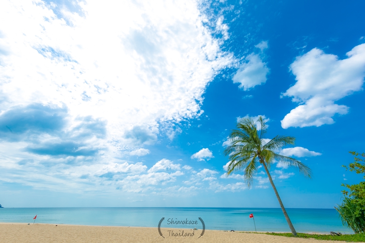 f:id:rakbaimai2:20210103105451j:plain