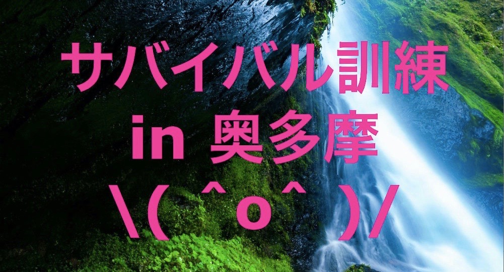 f:id:rakkoara:20180405030224j:plain