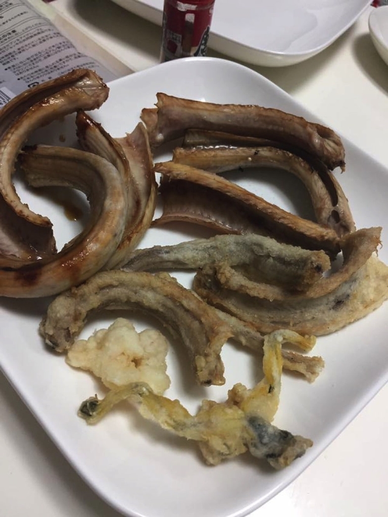 閲覧注意 私が捕まえて食べたサバイバル食ランキング ベスト5 ワースト5 Adhd女子革命 プロボクサー緑川愛のカオスな日常 閲覧注意 私が捕まえて食べたサバイバル食ランキング ベスト5 ワースト5 Adhd女子革命 プロボクサー緑川愛のカオスな日常