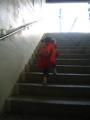 furo1