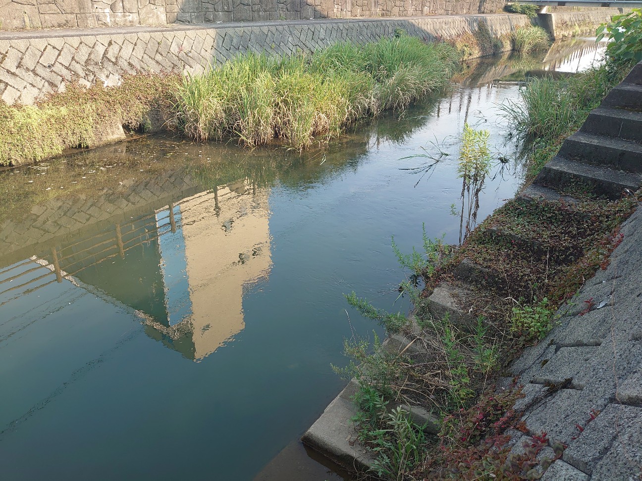 f:id:raku-aqua:20200805200942j:plain f:id:raku-aqua:20200805200942j:plain