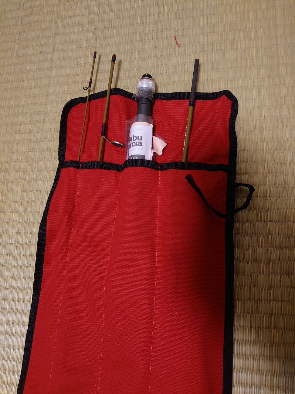 f:id:raku-aqua:20200906081602j:plain