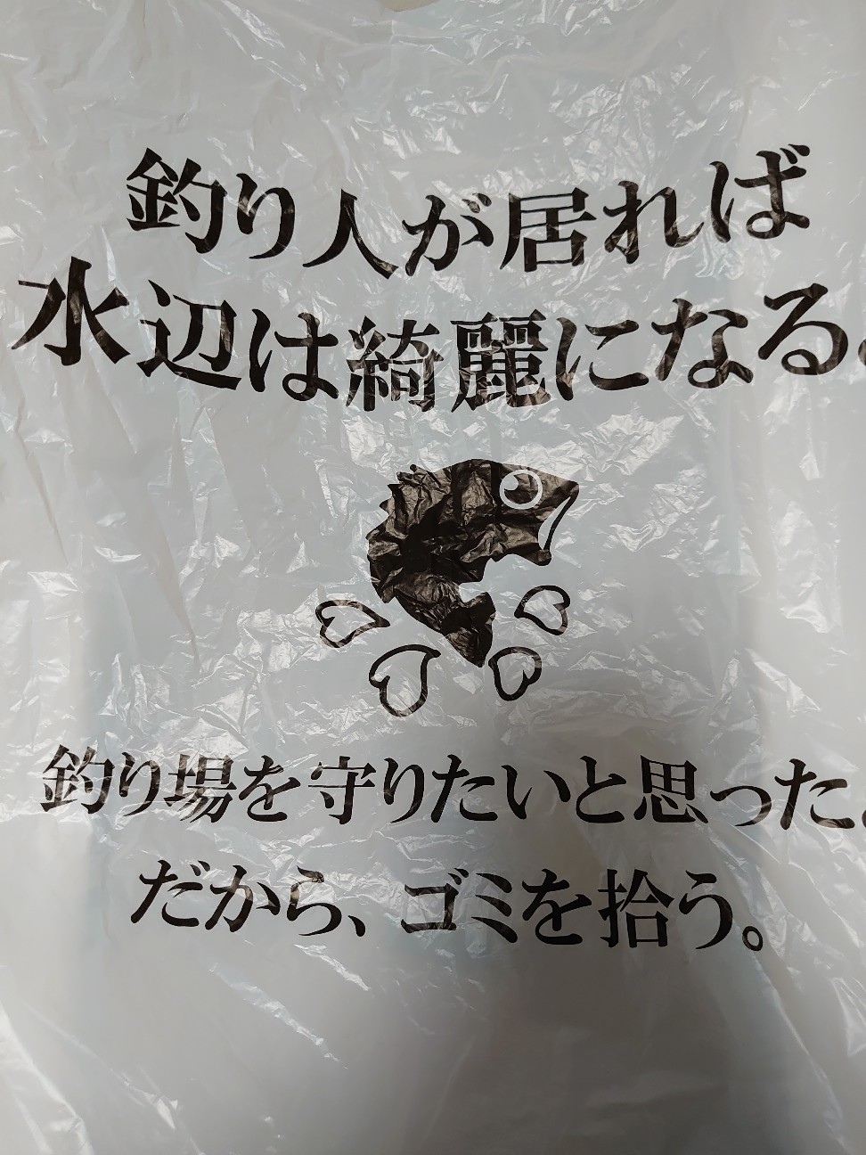 f:id:raku-aqua:20200911230550j:plain f:id:raku-aqua:20200911230550j:plain