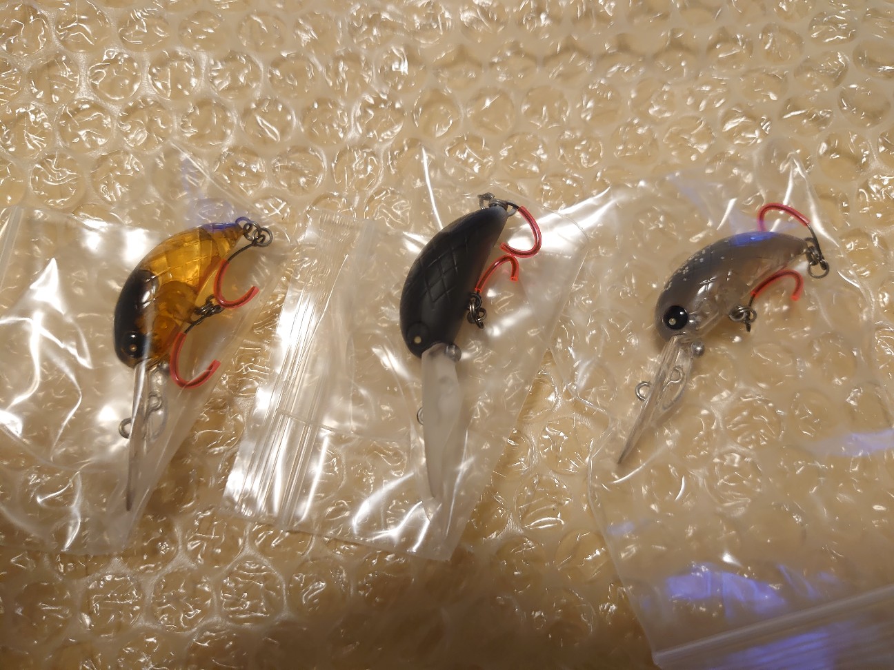 f:id:raku-aqua:20200914210752j:plain