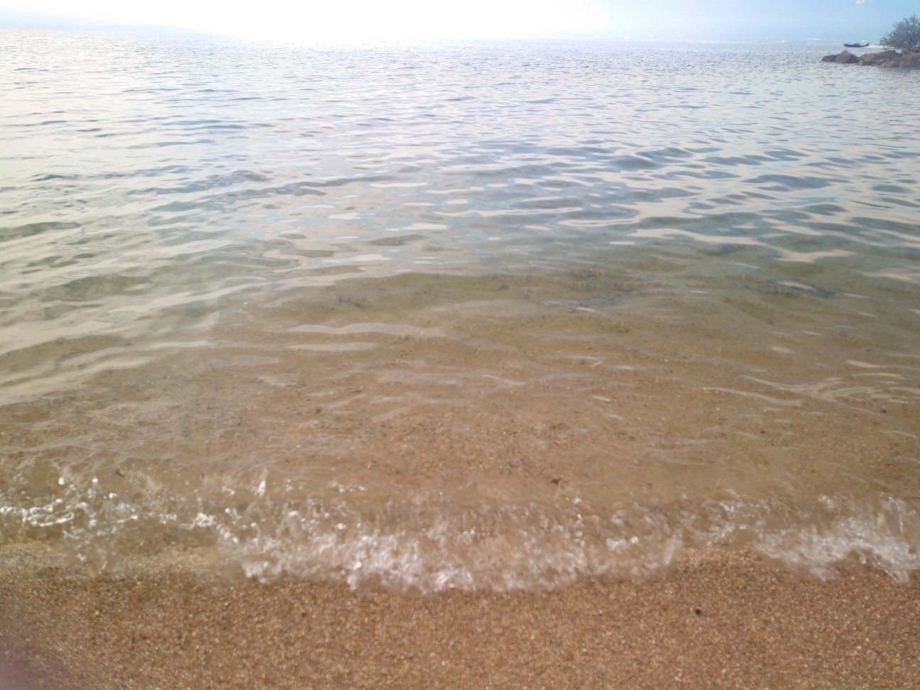 f:id:raku-aqua:20201018175405j:plain