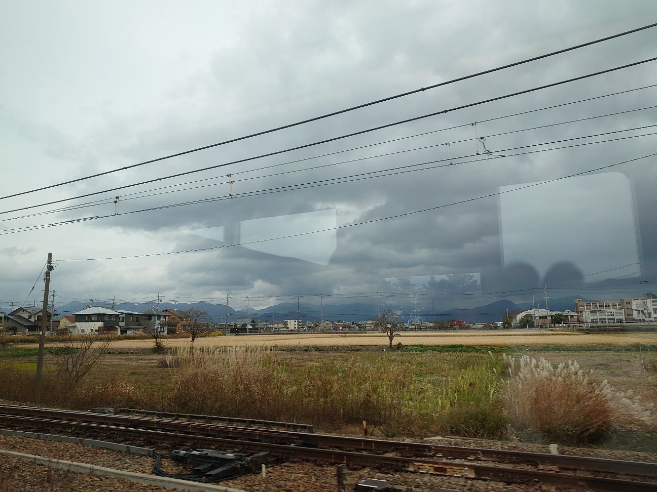 f:id:raku-aqua:20201213124651j:plain