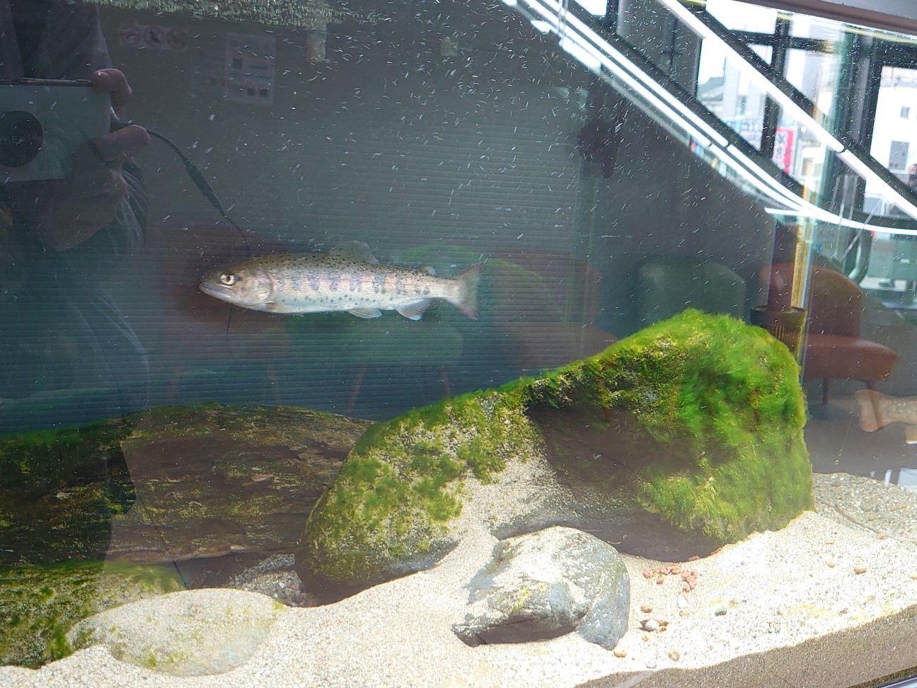f:id:raku-aqua:20201213200918j:plain