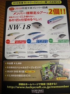 f:id:raku-aqua:20201215233559j:plain