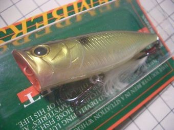 f:id:raku-aqua:20201216215121j:plain