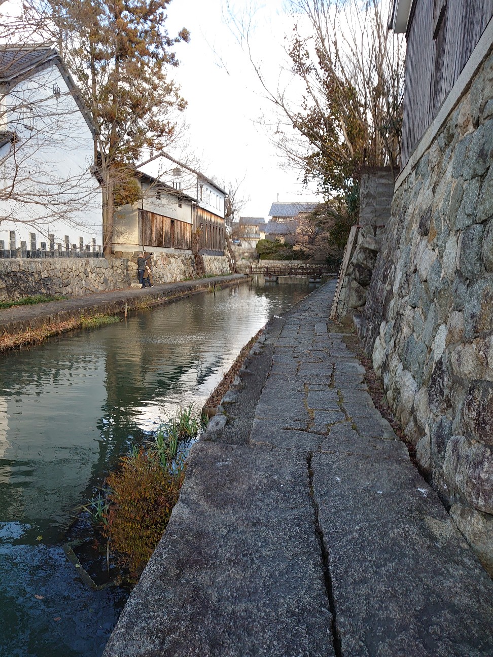 f:id:raku-aqua:20210112223721j:plain