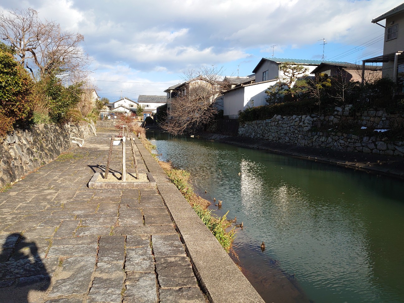 f:id:raku-aqua:20210112224307j:plain