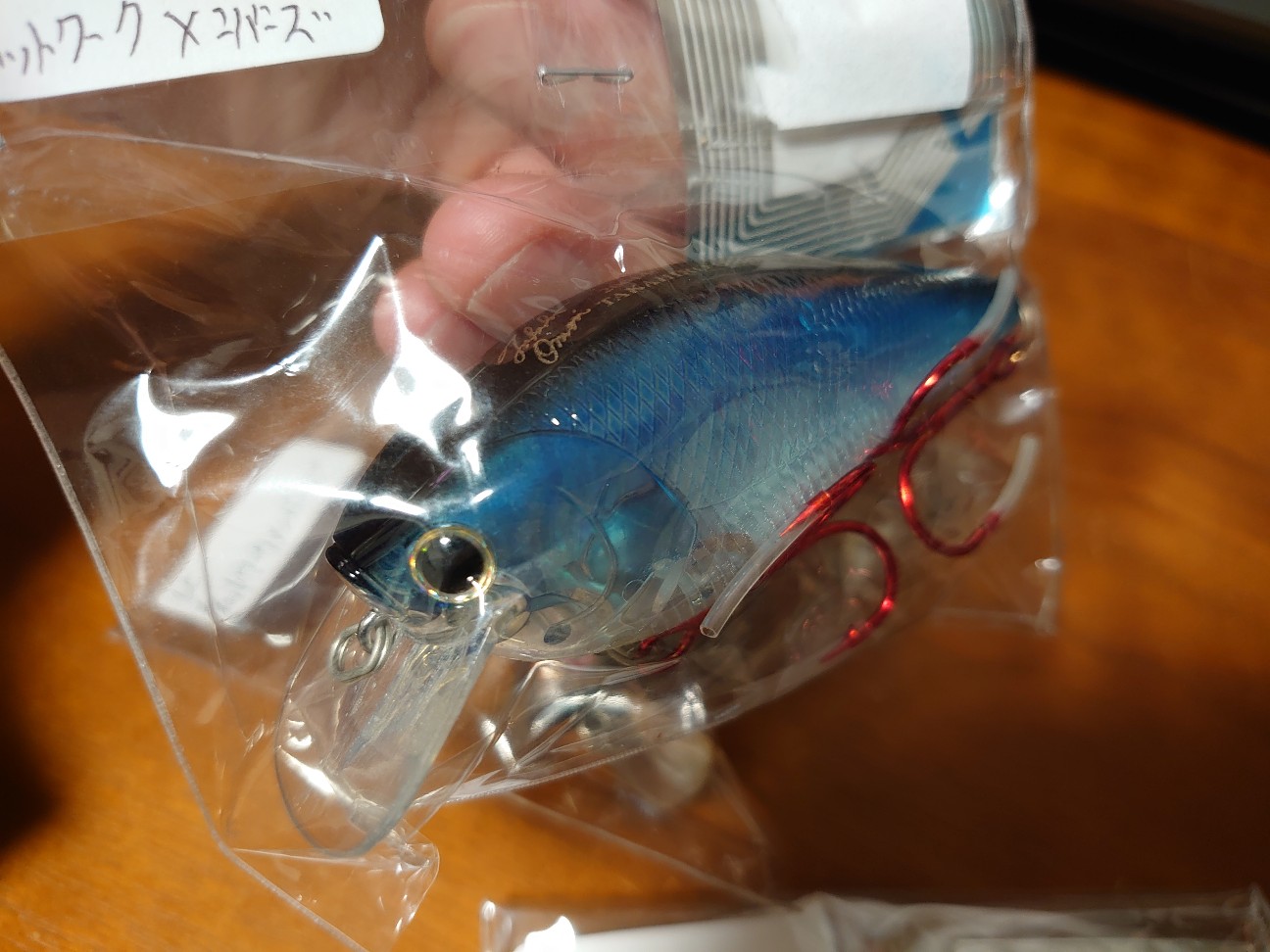 f:id:raku-aqua:20210126224624j:plain