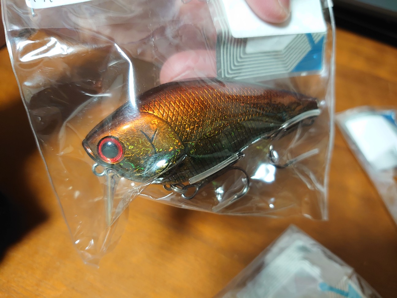 f:id:raku-aqua:20210126224935j:plain