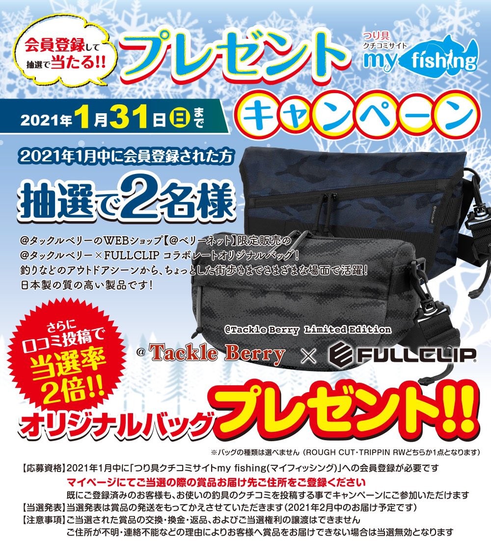 f:id:raku-aqua:20210204235412j:plain