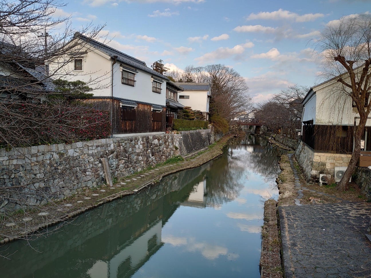 f:id:raku-aqua:20210213231132j:plain