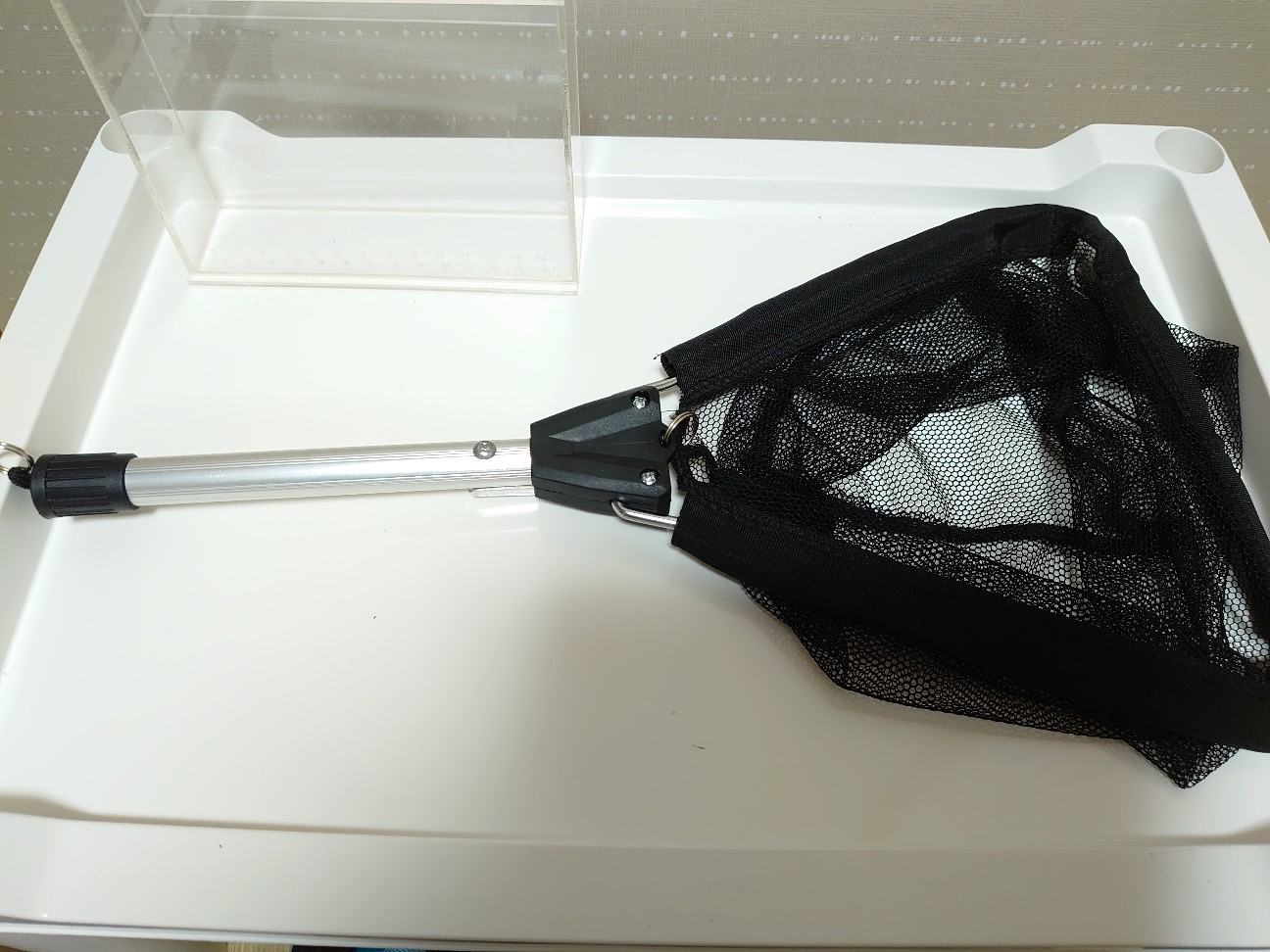 春タナゴ mqdefault.jpg