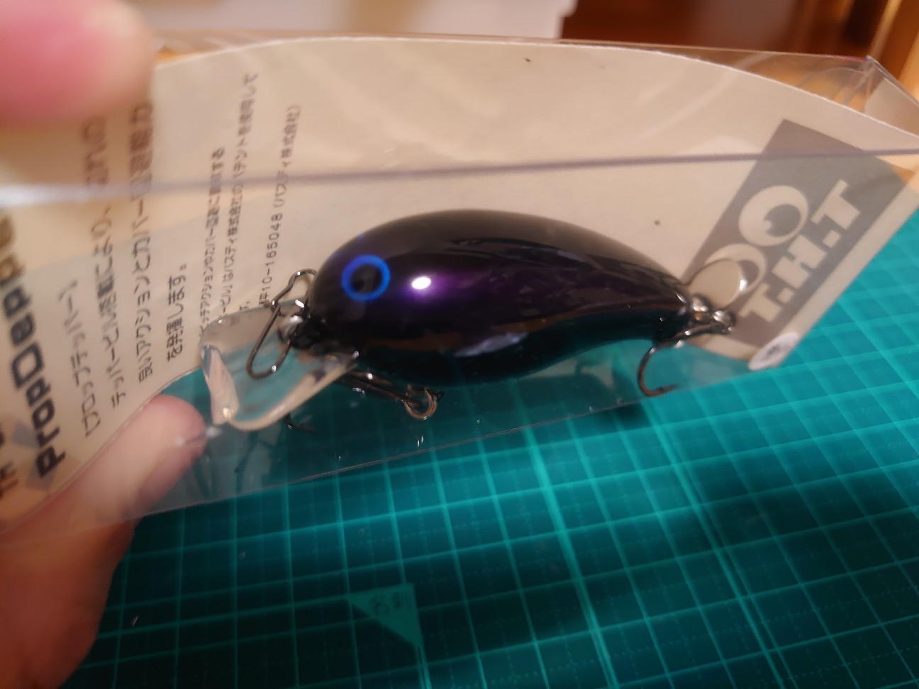 f:id:raku-aqua:20211022190209j:plain