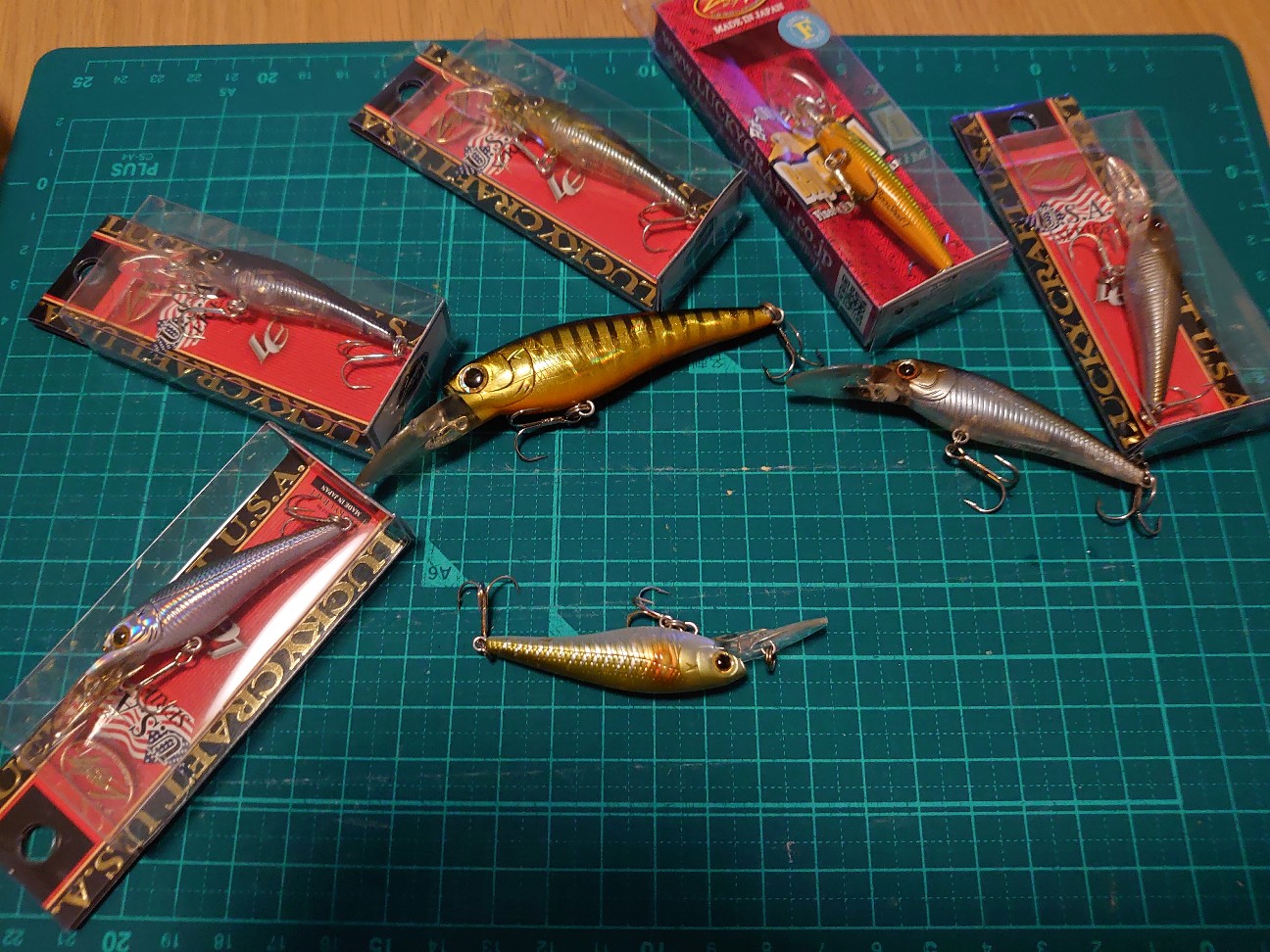 f:id:raku-aqua:20220320201951j:plain