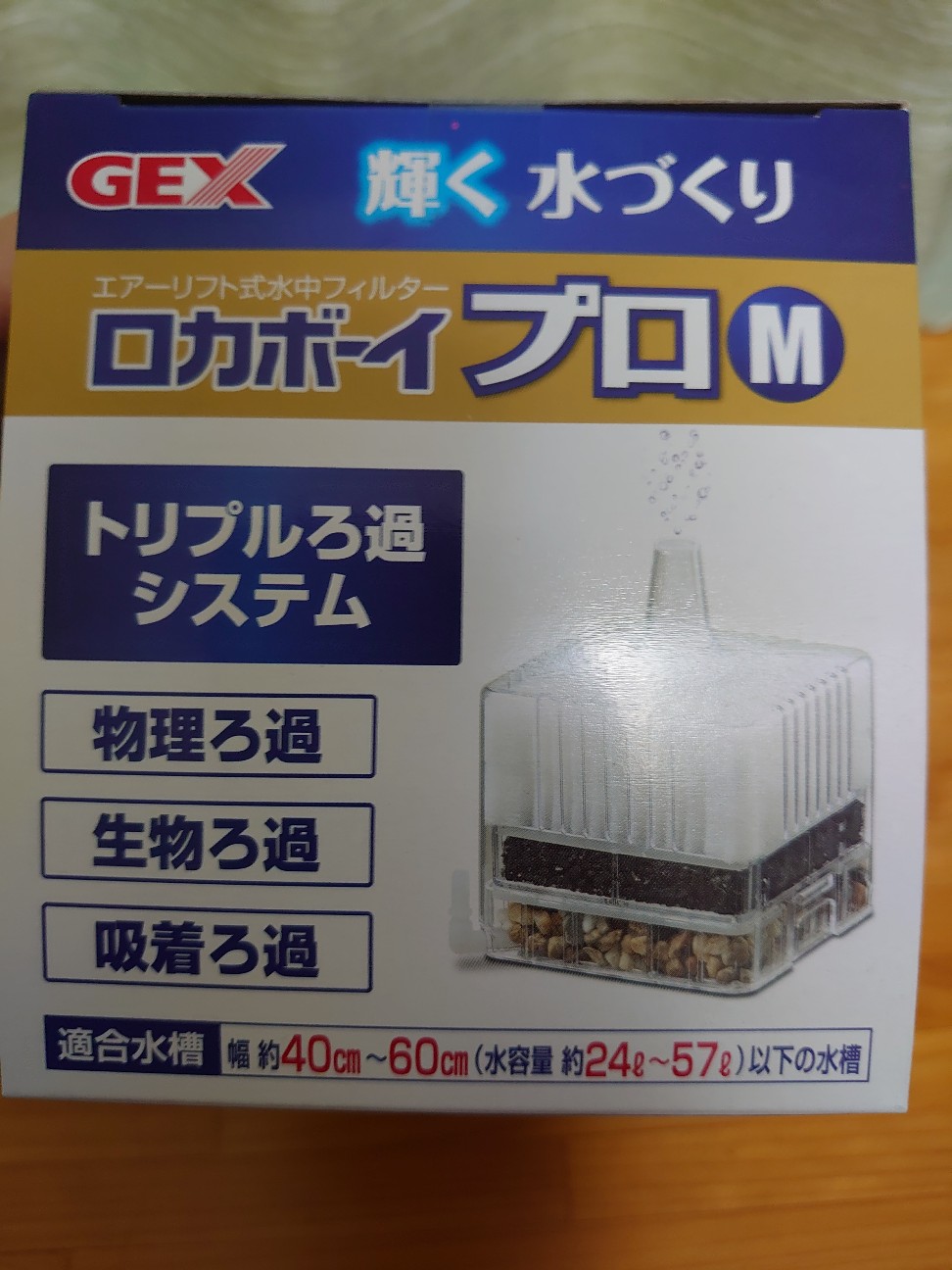 f:id:raku-aqua:20220413213126j:plain