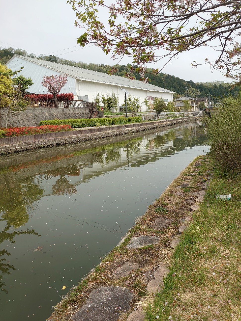 f:id:raku-aqua:20220414194611j:plain