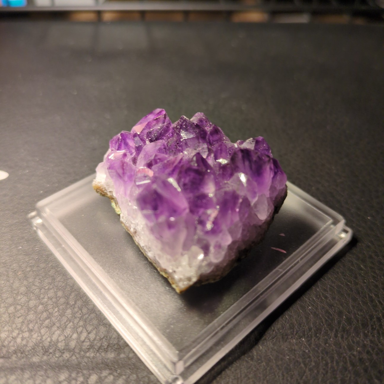 f:id:raku-aqua:20260201232520j:image