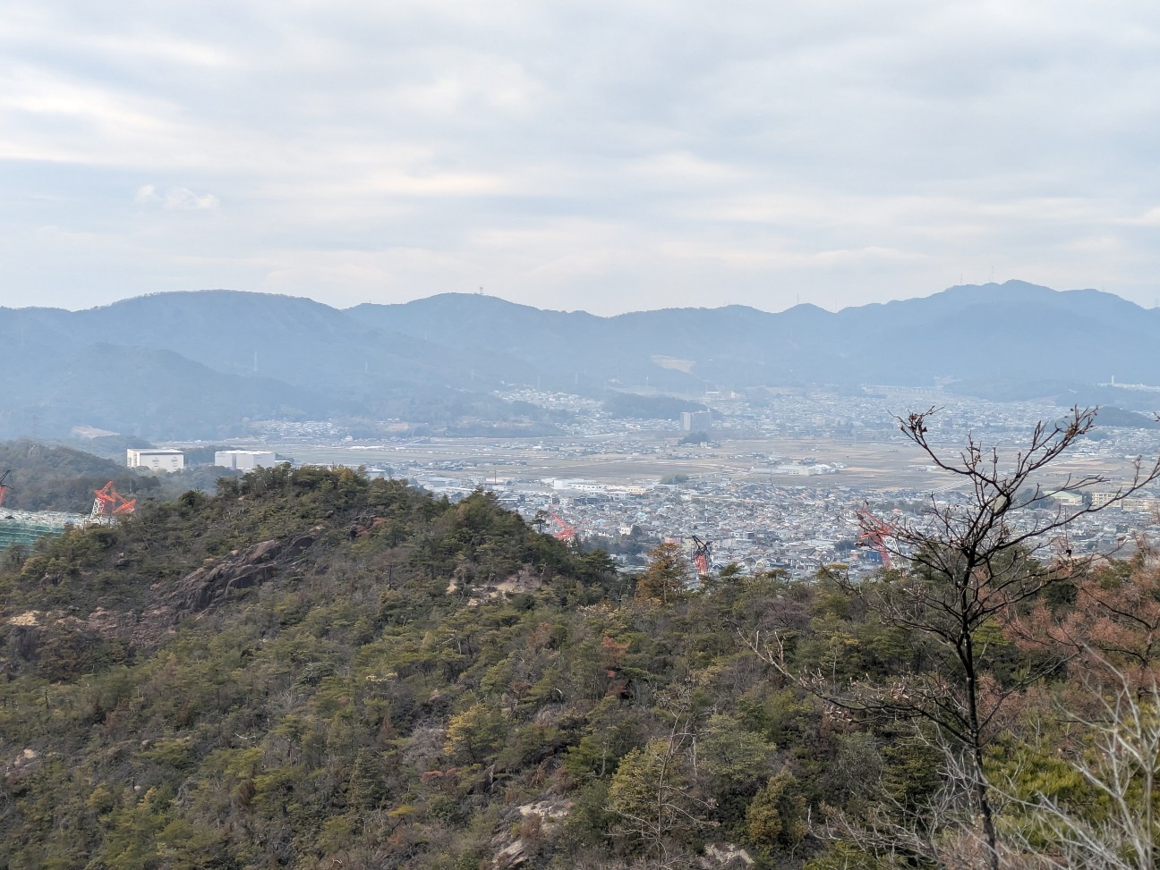 f:id:raku-aqua:20260215201837j:image