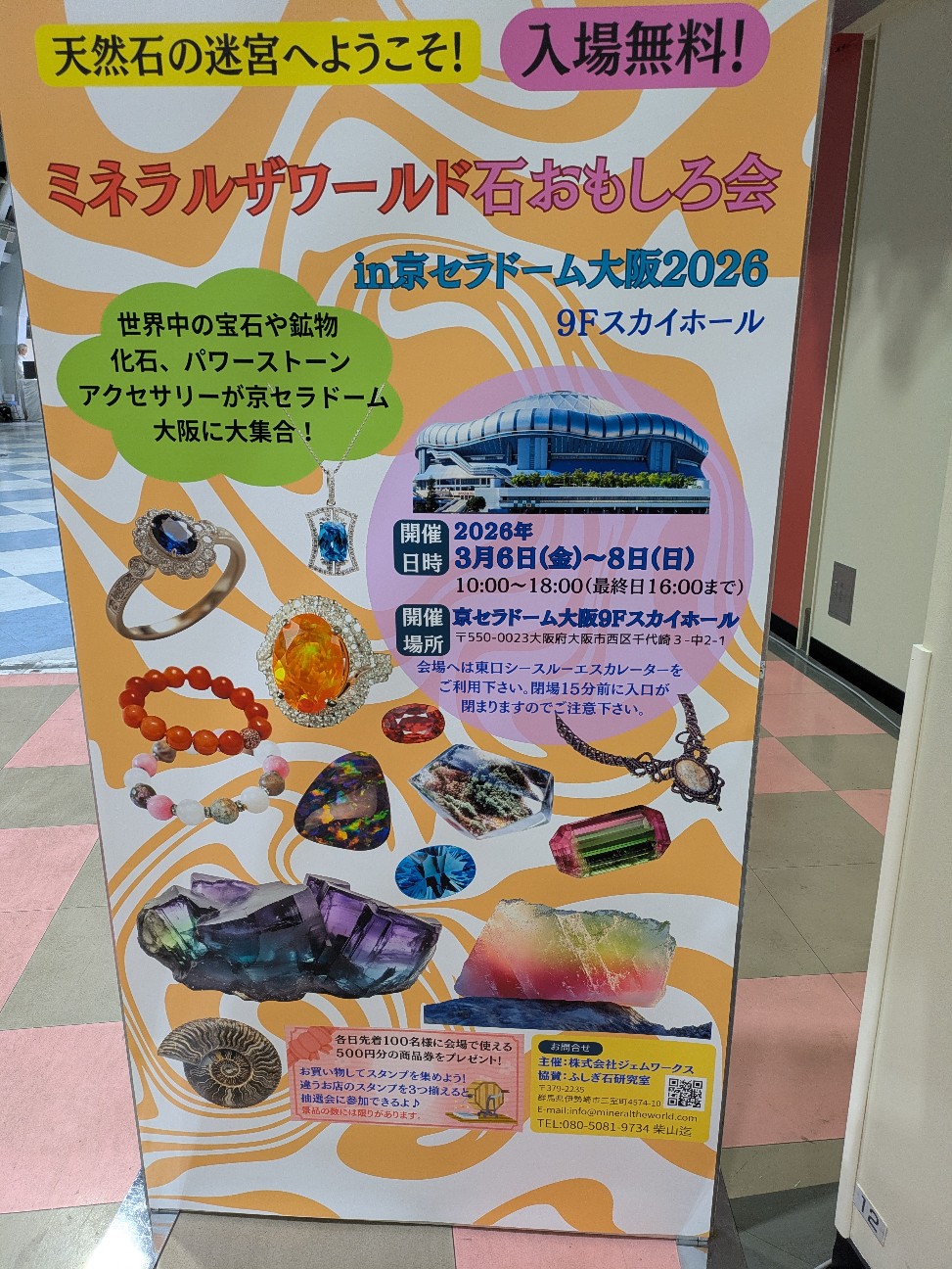 f:id:raku-aqua:20260308194415j:image