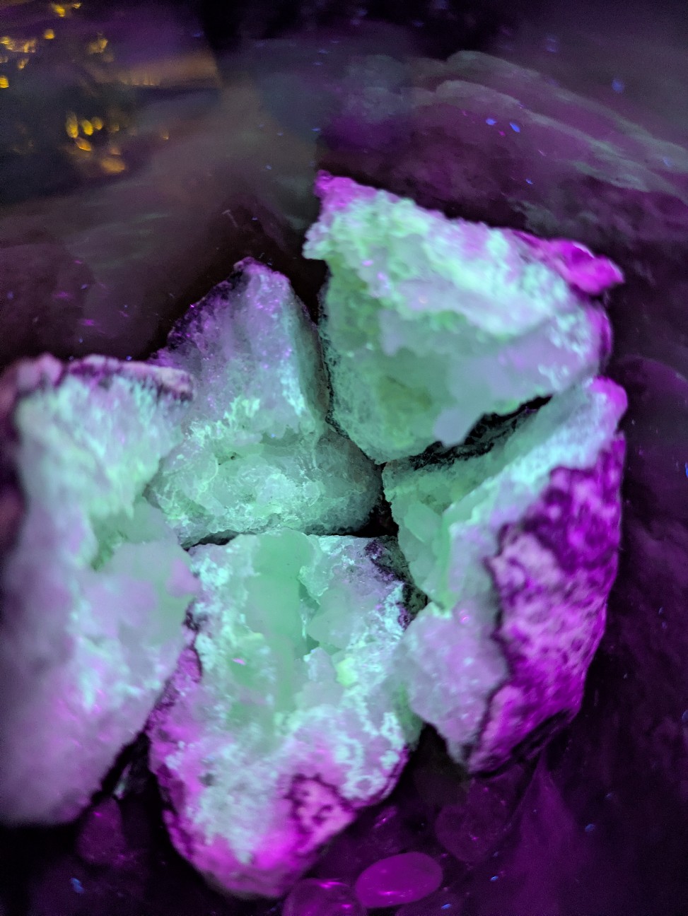 f:id:raku-aqua:20260309213604j:image