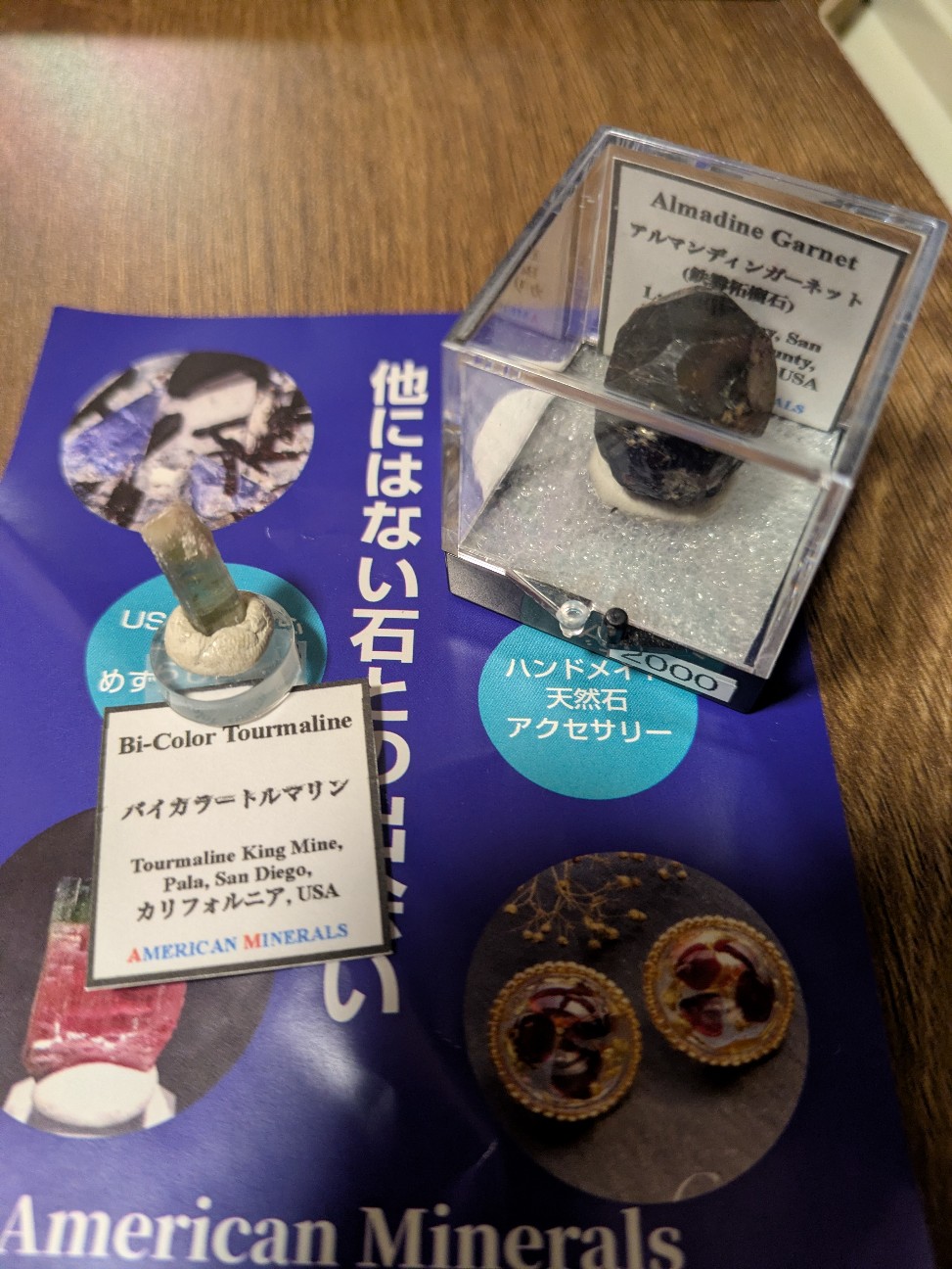 f:id:raku-aqua:20260906201016j:image