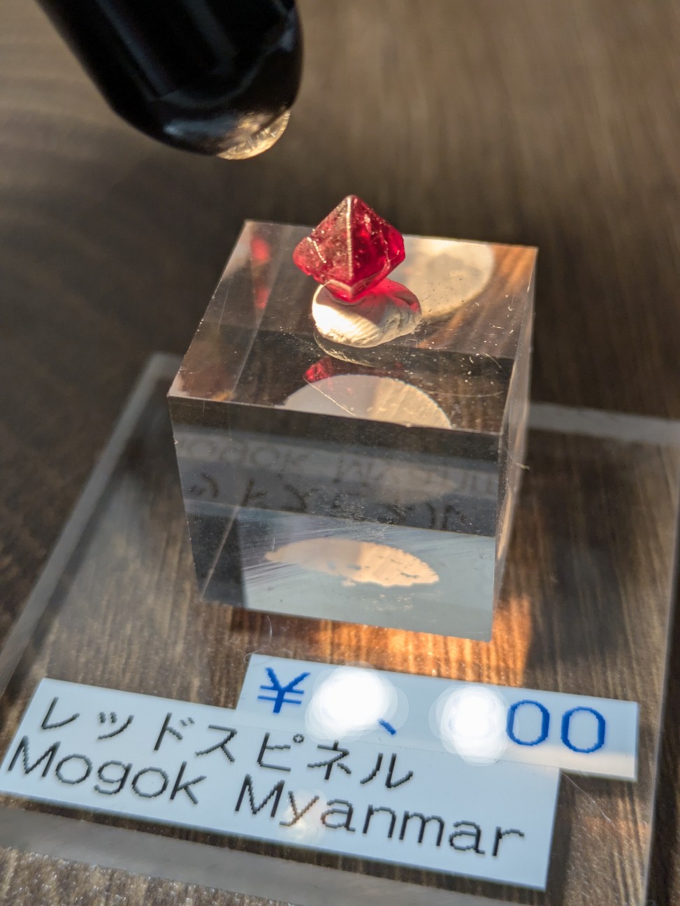 f:id:raku-aqua:20260906202529j:image